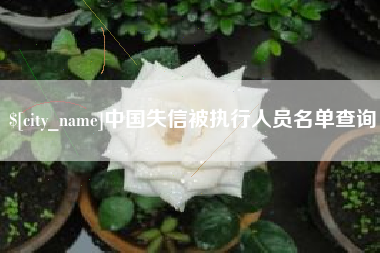 新泰中国失信被执行人员名单查询