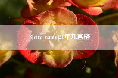 新泰21年九宫格