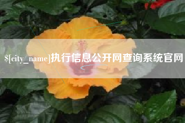 新泰执行信息公开网查询系统官网