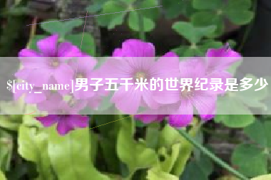 新泰男子五千米的世界纪录是多少