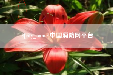 新泰中国消防网平台