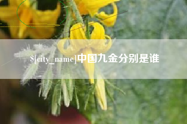 新泰中国九金分别是谁