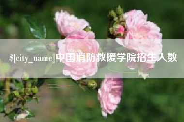 新泰中国消防救援学院招生人数