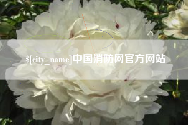 新泰中国消防网官方网站