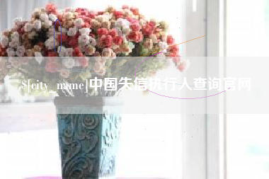 新泰中国失信执行人查询官网
