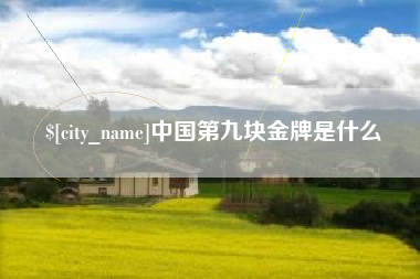 新泰中国第九块金牌是什么
