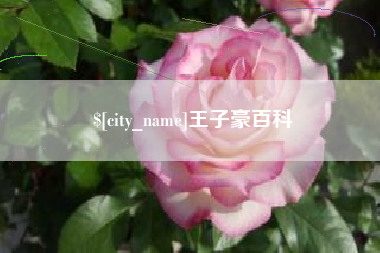 新泰王子豪百科
