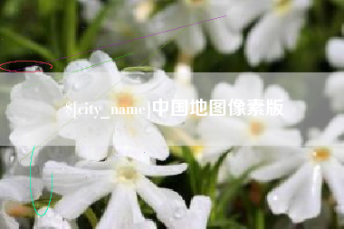 新泰中国地图像素版