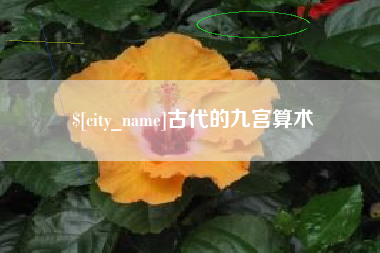 新泰古代的九宫算术