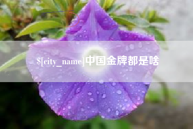 新泰中国金牌都是啥