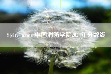 新泰中国消防学院2024年分数线