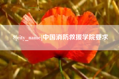 新泰中国消防救援学院要求