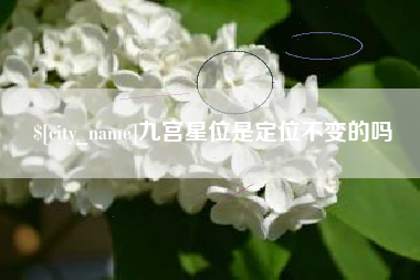 新泰九宫星位是定位不变的吗