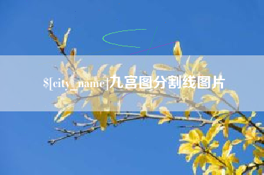 新泰九宫图分割线图片