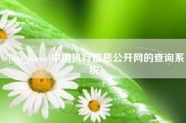 新泰中国执行信息公开网的查询系统
