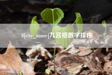 新泰九宫格数字排序
