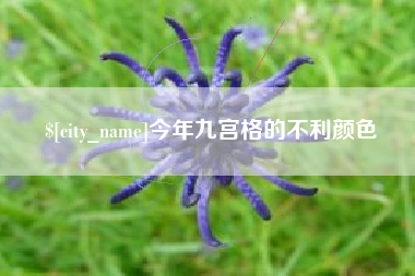 新泰今年九宫格的不利颜色