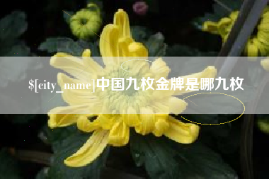 新泰中国九枚金牌是哪九枚