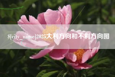 新泰2025大利方向和不利方向图
