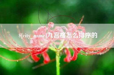 新泰九宫格怎么排序的