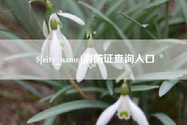 新泰消防证查询入口