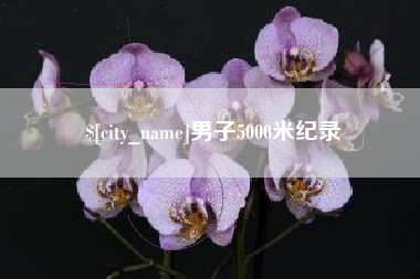 新泰男子5000米纪录