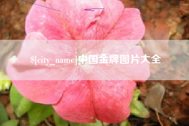 新泰中国金牌图片大全