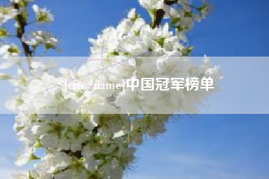 新泰中国冠军榜单
