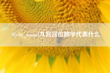 新泰九宫宫位数字代表什么