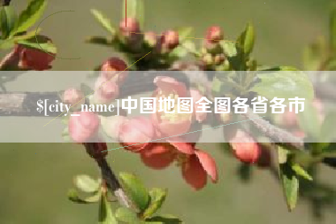 新泰中国地图全图各省各市