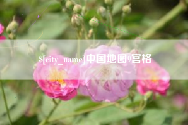 新泰中国地图9宫格