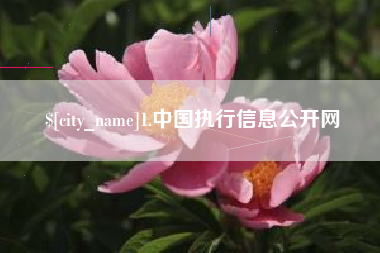 新泰1.中国执行信息公开网