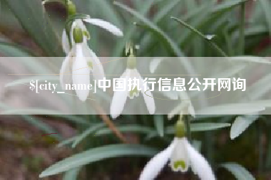 新泰中国执行信息公开网询