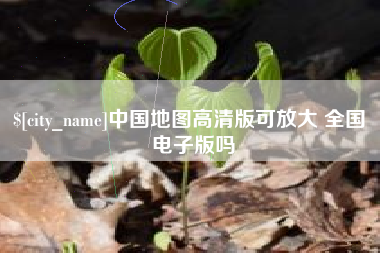 新泰中国地图高清版可放大 全国 电子版吗