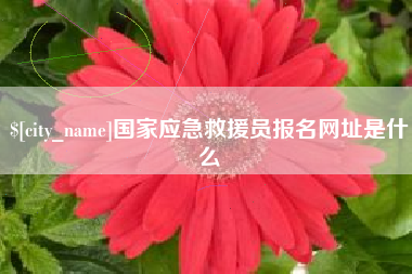 新泰国家应急救援员报名网址是什么