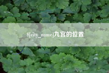 新泰九宫的位置