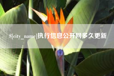 新泰执行信息公开网多久更新