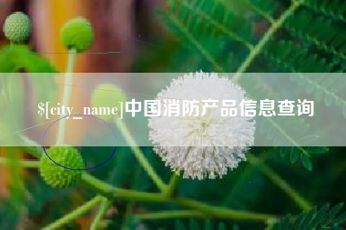 新泰中国消防产品信息查询