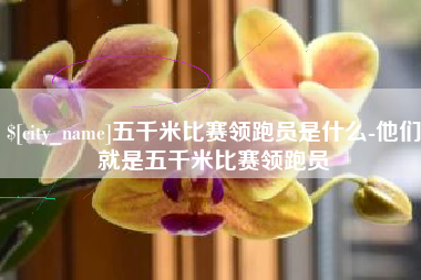 新泰五千米比赛领跑员是什么-他们就是五千米比赛领跑员