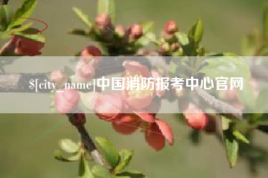 新泰中国消防报考中心官网