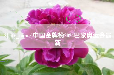 新泰中国金牌榜2024巴黎奥运会最新