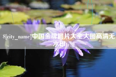 新泰中国金牌图片大全大图高清无水印