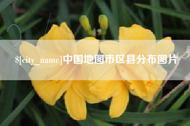 新泰中国地图市区县分布图片
