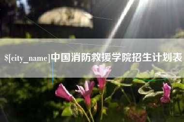 新泰中国消防救援学院招生计划表