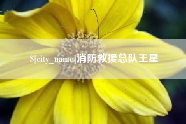 新泰消防救援总队王星