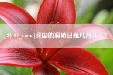新泰我国的消防日是几月几号？