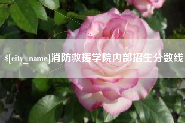 新泰消防救援学院内部招生分数线