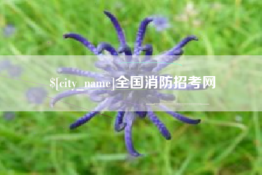 新泰全国消防招考网