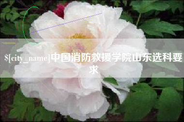 新泰中国消防救援学院山东选科要求