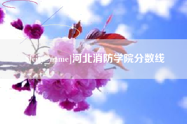 新泰河北消防学院分数线